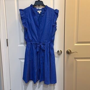Blue Striped Dress with Ruffle Sleeves